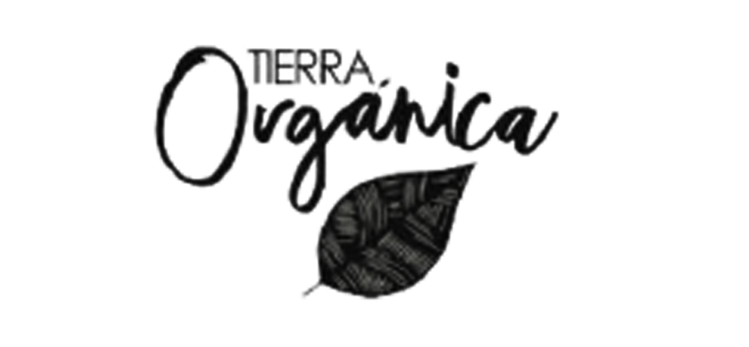 logo 12 lo simple